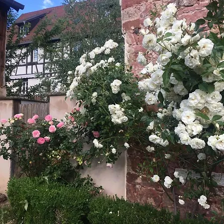 Les Chambres De L'atelier Bœrsch